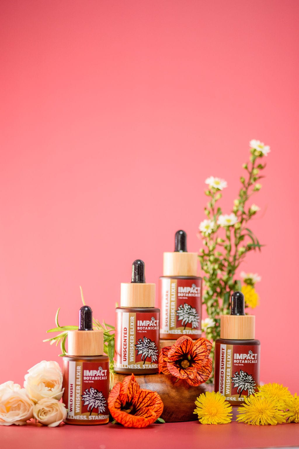 Four glass bottles of Impact Botanicals Whisker Elixir stand against a vibrant pink backdrop.  Each bottle features a bamboo cap and dropper, showcasing the natural ingredients within. Surrounding the bottles are delicate white and yellow flowers, further emphasizing the product&