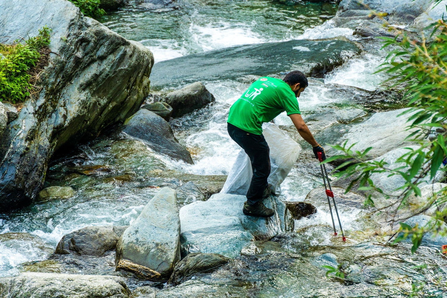 Celebrate Earth Day: Play Eco-Bingo!