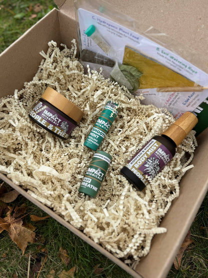 Holiday Bundle with Basil Bottle